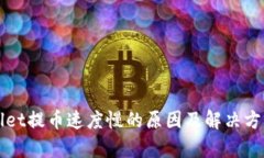 tpWallet提币速度慢的原因及
