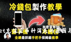 : tpWallet充值后币种消失的