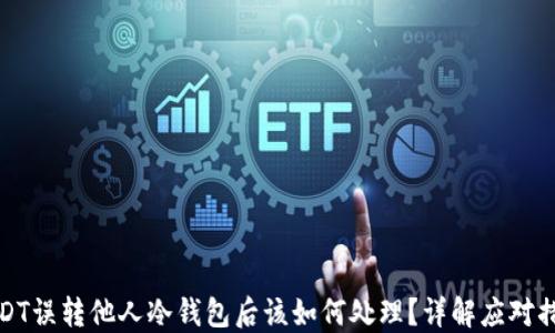 
USDT误转他人冷钱包后该如何处理？详解应对措施