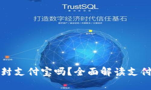 tpWallet充钱会封支付宝吗？全面解读支付风险与安全措施