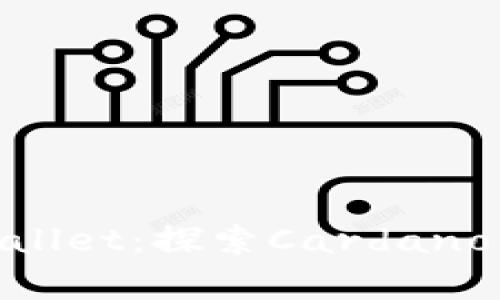 ADA如何提到tpWallet：探索Cardano生态中的数字钱包