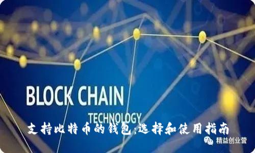 支持比特币的钱包：选择和使用指南