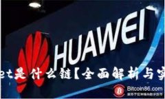tpWallet是什么链？全面解析