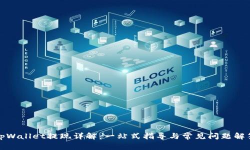 tpWallet提现详解：一站式指导与常见问题解答