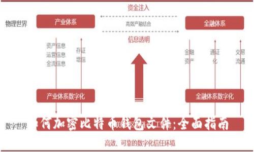 如何加密比特币钱包文件：全面指南