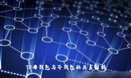 TP母钱包与子钱包的关系解析