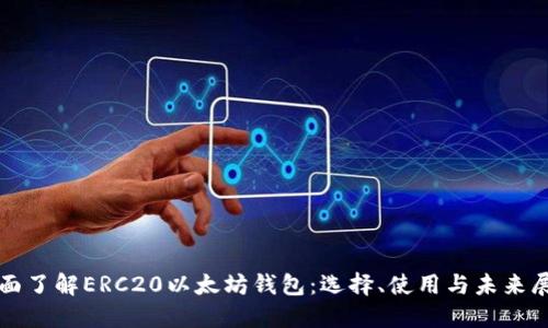 全面了解ERC20以太坊钱包：选择、使用与未来展望
