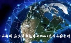 全面解析：盗火币钱包中