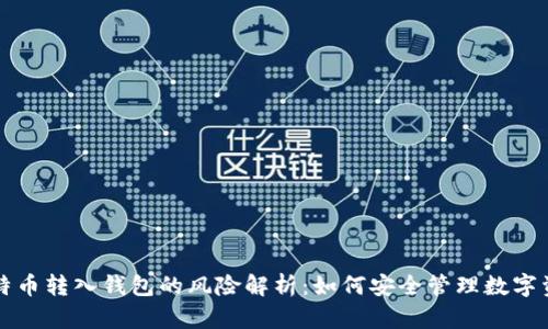 比特币转入钱包的风险解析：如何安全管理数字资产