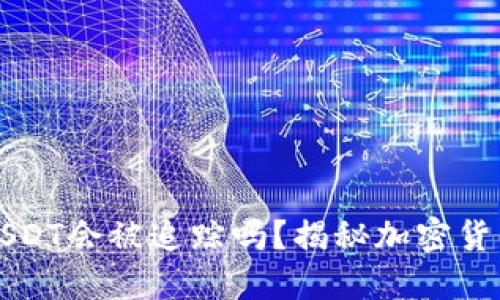 token.im钱包USDT会被追踪吗？揭秘加密货币隐私守护技巧