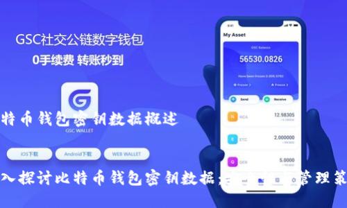 比特币钱包密钥数据概述


深入探讨比特币钱包密钥数据：安全性与管理策略