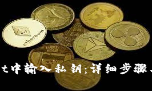 如何在tpWallet中输入私钥：详细步骤与常见问题解析