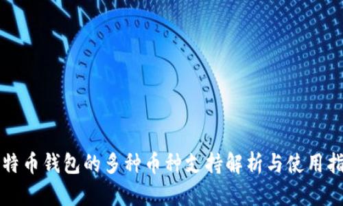比特币钱包的多种币种支持解析与使用指南