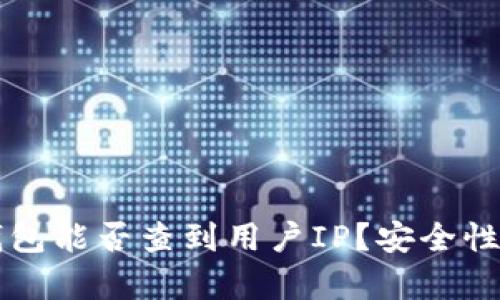比特币钱包能否查到用户IP？安全性全面解析