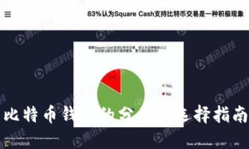 比特币钱包的分类与选择指南