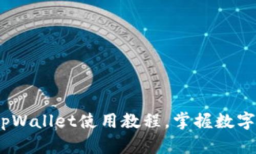 轻松上手：电脑tpWallet使用教程，掌握数字资产管理新潮流