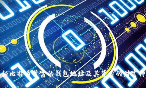 揭秘比特币首富的钱包地址及其背后的财富神话