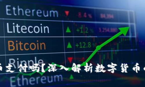 壹钱包支持狗狗币支付吗？深入解析数字货币的应用与未来趋势