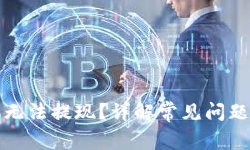比特币钱包无法提现？详解常见问题与解决方案