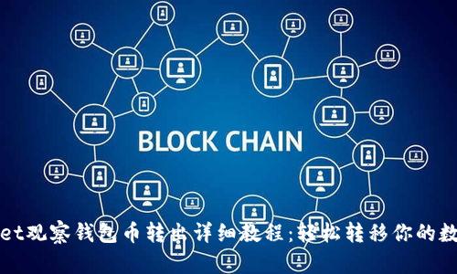 tpWallet观察钱包币转出详细教程：轻松转移你的数字资产