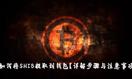 如何将SHIB提取到钱包？详解步骤与注意事项