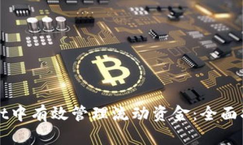 如何在tpWallet中有效管理流动资金：全面指南与实用技巧