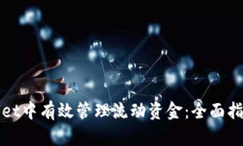 如何在tpWallet中有效管理流动资金：全面指南与实用技巧