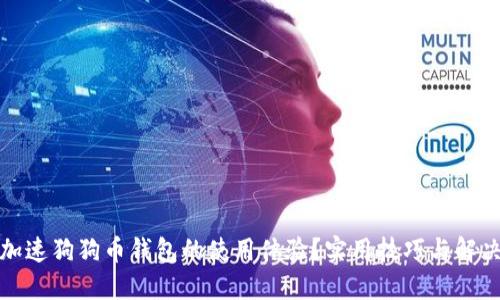 如何加速狗狗币钱包的使用体验？实用技巧与解决方案