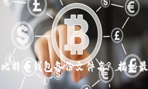 如何有效管理比特币钱包备份文件名? 揭秘最佳实践与策略