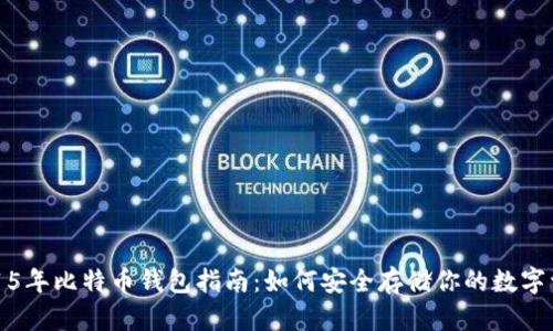 2015年比特币钱包指南：如何安全存储你的数字资产