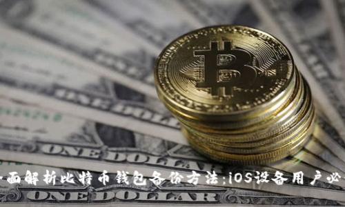 全面解析比特币钱包备份方法：iOS设备用户必读