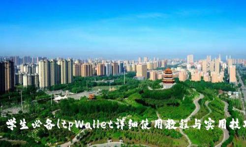: 学生必备！tpWallet详细使用教程与实用技巧