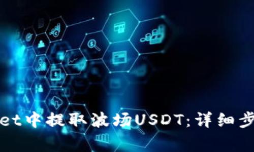 如何在tpWallet中提取波场USDT：详细步骤与注意事项