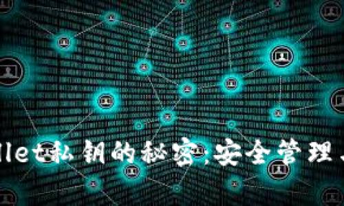 探索tpWallet私钥的秘密：安全管理与使用指南