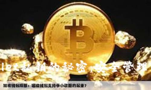 探索tpWallet私钥的秘密：安全管理与使用指南