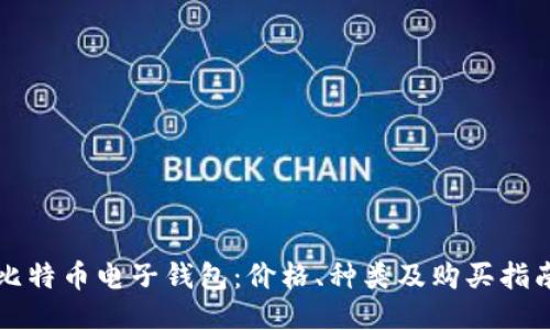 比特币电子钱包：价格、种类及购买指南